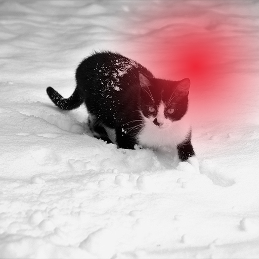 WinterIntensivSeminar Russisch 2026